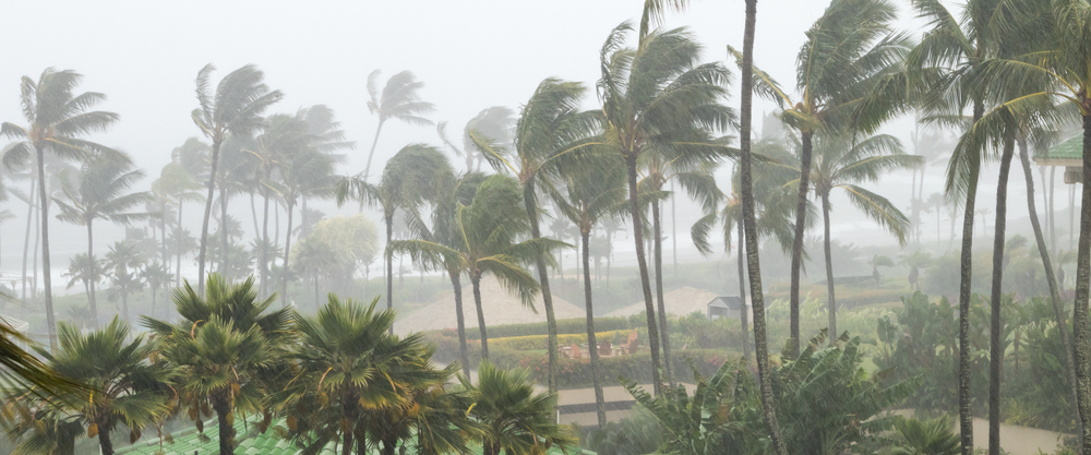 Hurricane Preparedness Guide for Your Business
